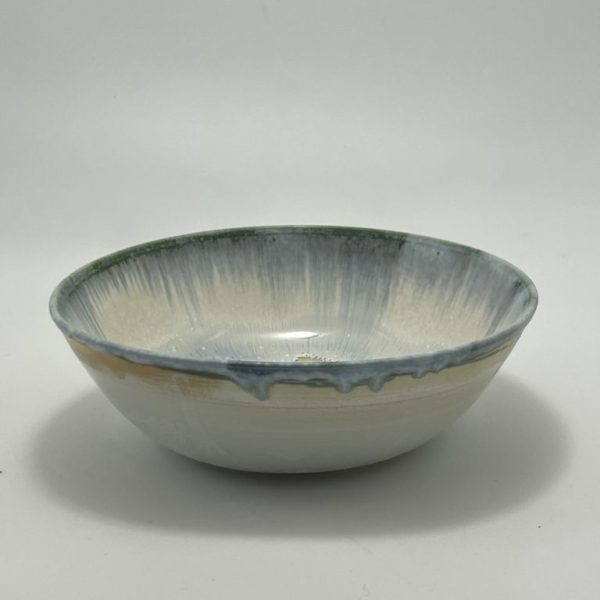 Porcelain Dinner Bowls